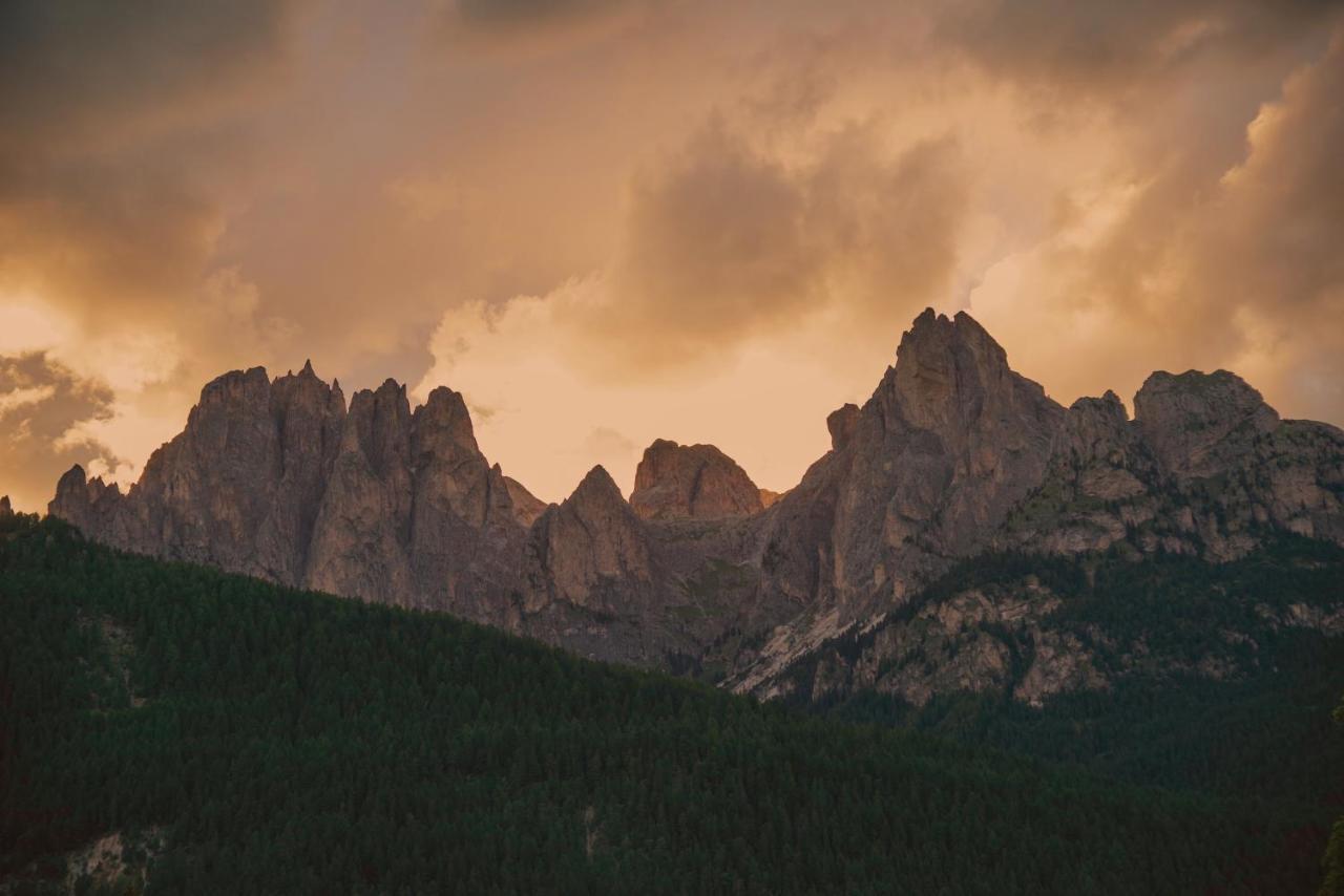 Chalet La Ciaseta Pozza di Fassa Dış mekan fotoğraf
