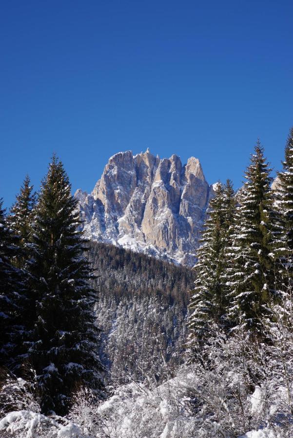 Chalet La Ciaseta Pozza di Fassa Dış mekan fotoğraf
