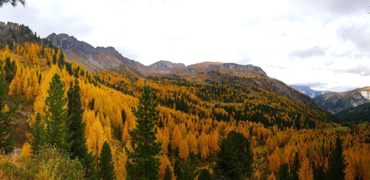 Chalet La Ciaseta Pozza di Fassa Dış mekan fotoğraf